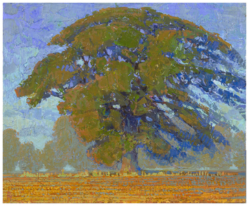 Oak Trees with Autumn Colours, 2016 (oil on linen)