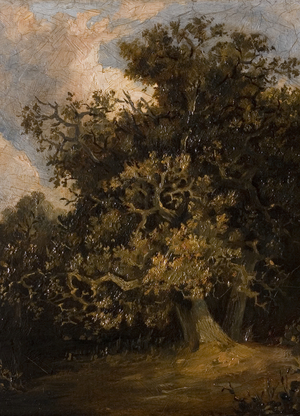 Oak Tree (after John Crome), late 19th century (oil on board)