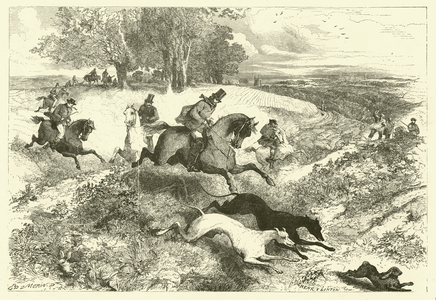 Hare coursing in England (engraving)
