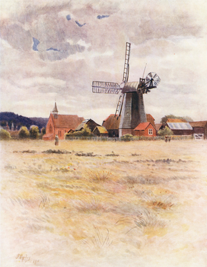 Surrey: Cranleigh Windmill (colour litho)