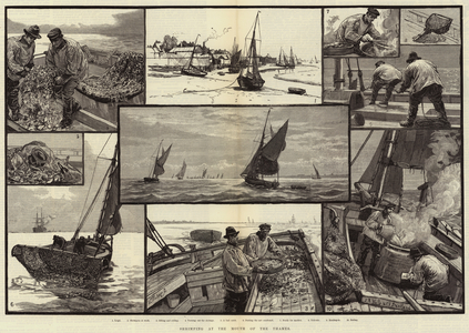Shrimping at the Mouth of the Thames (engraving)