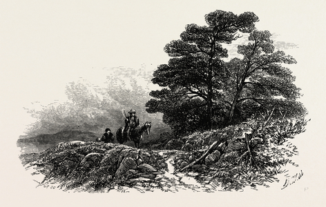 Mountain Path Near Capel Curig, North Wales, UK, 19th Century Engraving