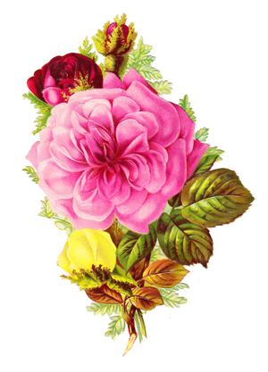 A Victorian Floral Paper Scrap Relief of roses, c.1880 (colour litho)