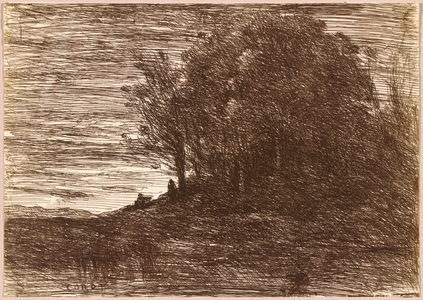 The Hermit's Woods, or the Banks of Lake Trasimène (Le Bois de l'Hermite, ou les Bords du Lac Trasimène),1858 (drawing)