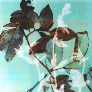 Season III, 2018 (digital)