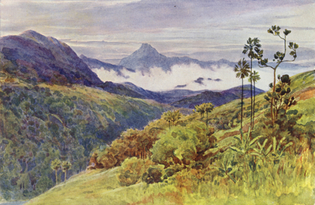 Morning Mists in the Valley of the Mahawelli Gangha (colour litho)