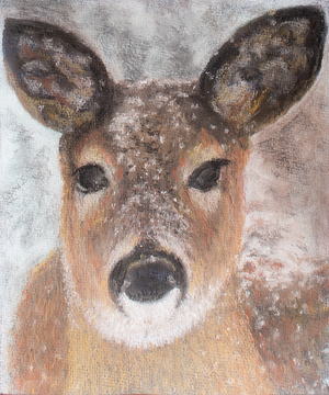 Young Deer in Winter, 2017 (pastel)

