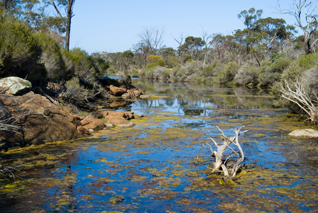 Freshwater pool in bushland wilderness Beringa Reserve, nr. Jerramungup, South-Western Australia (photo)