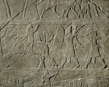 Departure for a hunt …