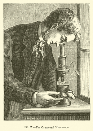 The Compound Microscope (engraving)