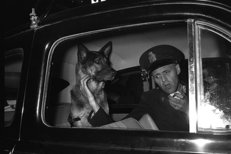 Hadeland September 1963 Three prisoners have fled from the Bots prison in Oslo. …, 1963 (photo)