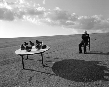 Animal Talk 14, (b/w photo)