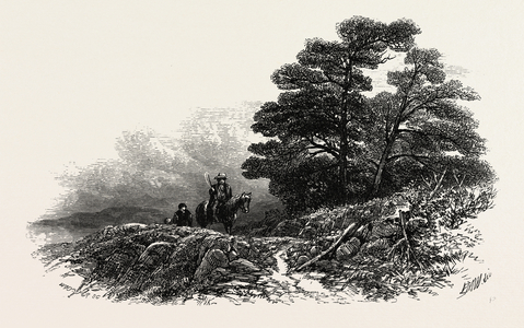 Mountain Path Near Capel Curig, UK