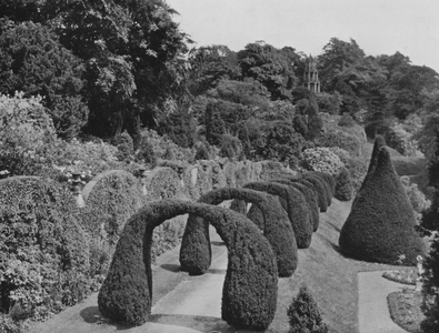 Yew Arches at Alton Towers, Staffordshire (b/w photo)