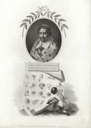 Joseph Pitton de Tournefort (engraving)