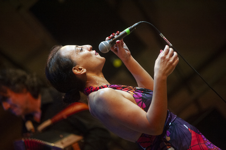 Ambrogio Sparagna's Popular Orchestra singer performing at Carpino Folk Festival, Puglia, Italy, 2014 (photo)