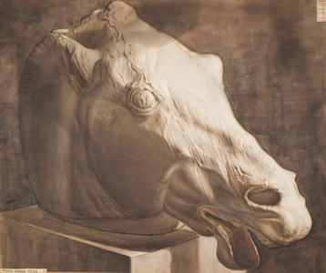Study - Horses head from the Parthenon, 1882 (wash drawing)