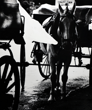 Traps for tourists. Killarney. From Essay: Hibernian Images 1967/69 (photo)