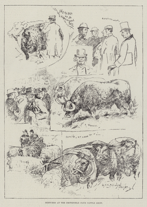 Sketches at the Smithfield Club Cattle Show (engraving)
