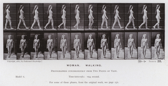 The Human Figure in Motion: Woman, Walking (b/w photo)