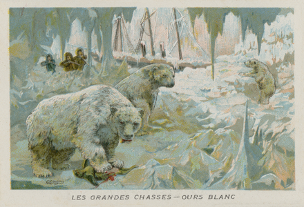 Polar Bears (chromolitho)