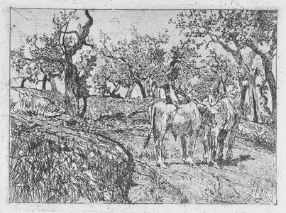 Cattle Amongst Olive Trees (etching)