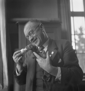 Feeding of animals (photo)