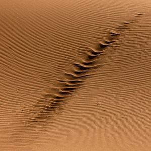 Car Tracks in the Sand of the Namib Desert, Iona National Park, Angola, Africa (photo)