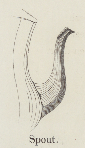 Spout (engraving)