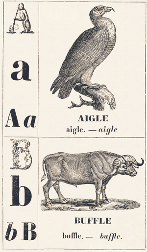 A B: Eagle — Buffalo, 1850 (engraving)