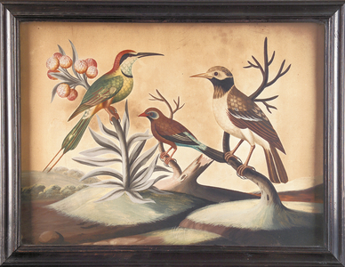 Indian Bee-Eater, Black and White Indian Starling and Brazilian Finch, 1755