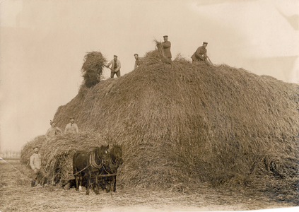 I. WK - Eastern Front - German soldiers (photo)