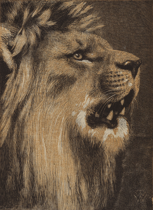 The King of the Forest (coloured engraving)