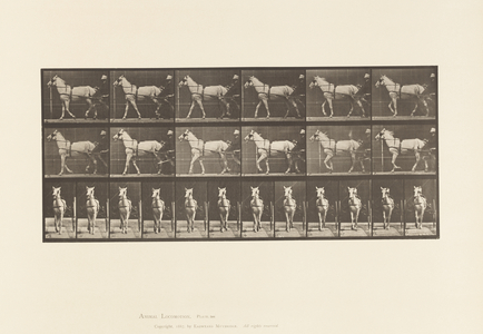 Plate 586.Walking; Sulky; Light Gray Mare, Katydid, 1885 (collotype on paper)