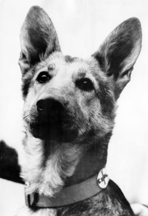 II. WK, German Wehrmacht, war invalids 1944 (photo)