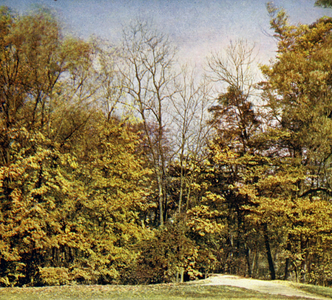 Aus dem Park zu Weimar, Partie an der Ilm (colour photo)
