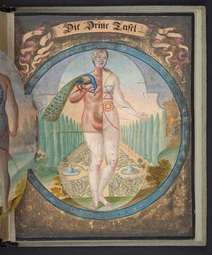 Tables representing man in three different states, 1717 (manuscript)