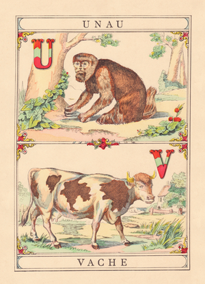 U V: Unau - Cow