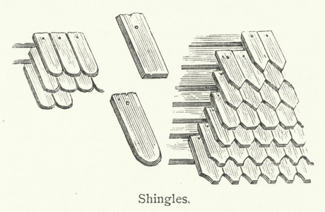 Shingles (engraving)