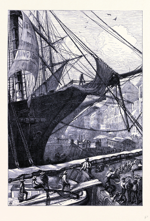 At the Wharf in New York United States of America