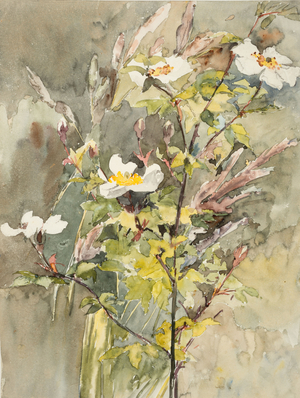 Wildflowers (w/c and graphite on wove paper)