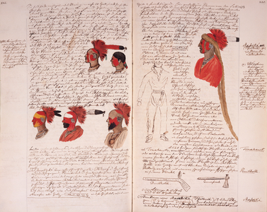 Journal of Prince Maximilian of Wied, 1832-34 (ink and w/c on paper)