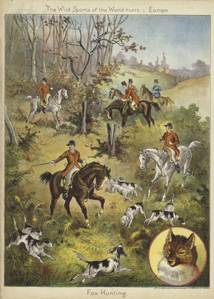 Fox hunting (colour litho)