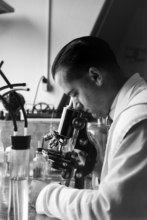 Scientific research in the German Bight, Germany 1930s (b/w photo)