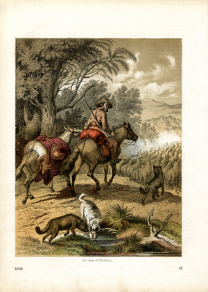 South American Shepherd with Herding Dogs (hand-coloured litho)