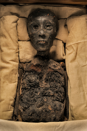 Mummy of King Tut, mm7864; 18th Dynasty; New Kingdom; the Egyptian Museum; Cairo; Egy…, 2005 (photo)