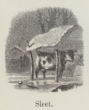 Sleet (engraving)