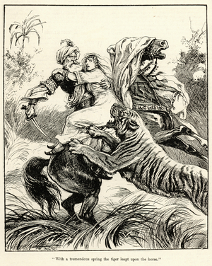 "With a tremendous spring the tiger leapt upon the horse" (engraving)