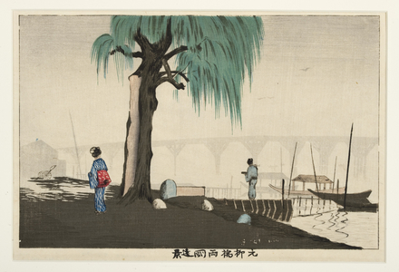 Distant View of Ryogoku from Motoyanagi Bridge, 1880-82 (woodblock)