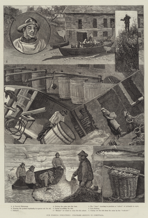 Our Fishing Industries, Pilchard Seining in Cornwall (engraving)